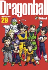 Dragon Ball (Perfect Edition) -29- Tome 29