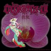 Nouvelles images du japon -3- Iroke