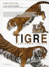 Tigre -HS- Tigre - Panthera Tigris