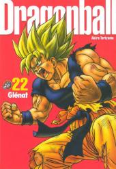 Dragon Ball (Perfect Edition) -22- Tome 22