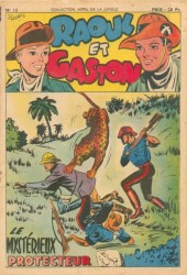 Raoul et Gaston (Appel de la Jungle) -12- Le mystérieux protecteur