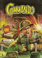 Commando (Artima / Arédit) -276- À la croisée des chemins