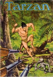 Tarzan (4e Série - Sagédition) (Nouvelle Série) -53- Le combat décisif 