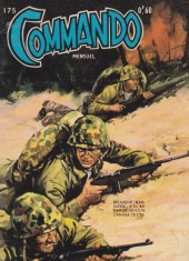 Commando (Artima / Arédit) -175- Pilote solitaire