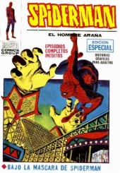 Spiderman (El hombre araña) Vol. 1 (Vértice) -27- 