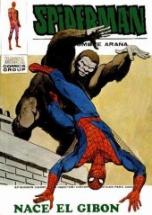 Spiderman (El hombre araña) Vol. 1 (Vértice) -49- 