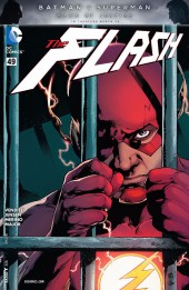 The flash Vol.4 (2011) -49- Issue 49