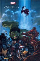 Panini Comics (20 ans) -11- Avengers : La séparation