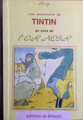 Tintin - Pastiches, parodies & pirates - Tintin au pays de l'or noir