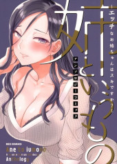 Ane to Lumono - H na Oniichan wa Suki Desuka ? Comic Anthology