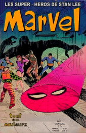 Marvel (édition pirate) -17- Les Fantastiques - La Révolte du surfer d'argent