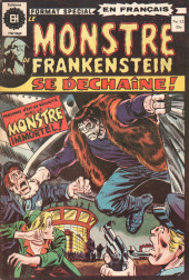 Le monstre de Frankenstein (Éditions Héritage) -13- Toutes des pièces de terreur !