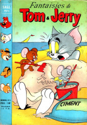 Tom & Jerry (Fantaisies de) -5- Tom tape dans le mille