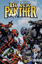 Black Panther (Marvel select) -2- Châtiment