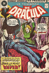 Le tombeau de Dracula (Éditions Héritage)  -19- Enneigés dans l'enfer!
