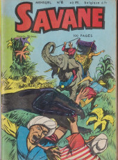 Savane (SFPI) -8- Allan Bruce et le pont du limpopo