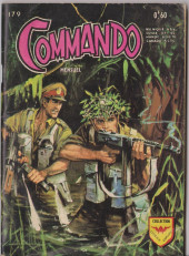 Commando (Artima / Arédit) -179- Le vol des planeurs