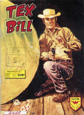 Tex Bill (Arédit) -79- Le mysterieux cavalier