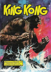 King Kong (Occident) -20- Une tentative désespérée