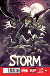 Storm (2014) -5- Issue #5