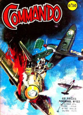 Commando (Artima / Arédit) -133- Le rescapé