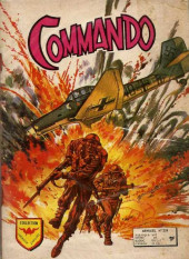 Commando (Artima / Arédit) -209- Escadron de combat