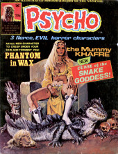 Psycho (Skywald Publications - 1971) -23- Issue # 23