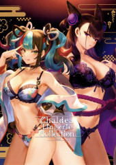 Fate/Grand Order - Chaldea Lingerie Collection Vol. 5 2020 Winter