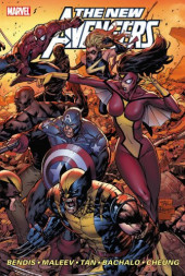 The new Avengers Vol.1 (2005) -INT06bis- Volume 6