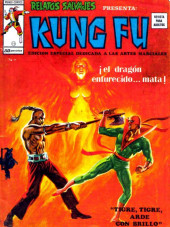 Relatos salvages - Artes marciales Vol. 1 -19- ¡El Dragón enfurecido... mata!