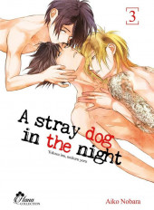Couverture de A stray dog in the night -3- Tome 3