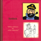 Tintin (France Loisirs 2007) -HS05a- Haddock - 