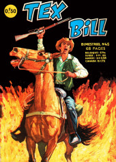 Tex Bill (Arédit) -45- Enquête à la frontière