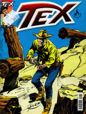 Tex (en portugais - Mythos) -331- A floresta petrificada