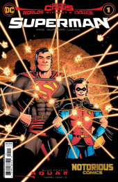 Dark Crisis: Worlds Without a Justice League - Superman