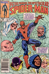 Spectacular Spider-Man Vol.1 (Peter Parker, The) (1976) -96- Issue # 96