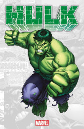 Hulk (Marvel-Verse) - Hulk