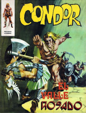 Condor (Vilmar - 1974) -13- El valle rosado