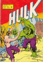 Hulk (1re Série - Arédit - Flash) -4- Dédoublement