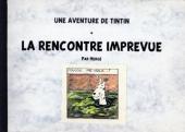 Tintin - Pastiches, parodies & pirates -31- La Rencontre imprévue