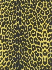 (AUT) Benoit, Ted -TT1- La peau du léopard