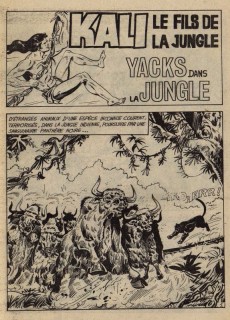 Extrait de Kali (Jeunesse et Vacances) -118- Yacks dans la jungle