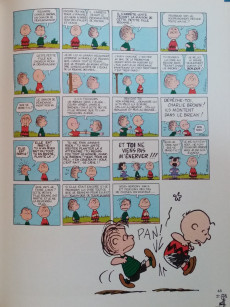Extrait de Peanuts -2- (Hachette) -HS- Snoopy et compagnie