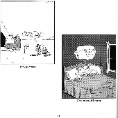 Extrait de The far Side (1982) -14- The chickens are restless
