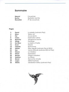 Extrait de Tattoo passion - Tattoo passion la BD