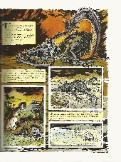 Extrait de L'aventure de l'équipe Cousteau en bandes dessinées -10a- La légende du grand requin blanc