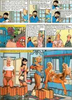 Extrait de Tintin - Pastiches, parodies & pirates -2006- Tintin fait un porno