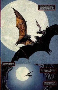 Extrait de Bruce Wayne: The Road Home - Batman: The Return