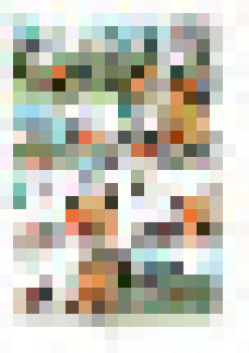 Extrait de Boule et Bill -14a1981- Ras le Bill !