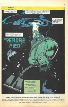 Extrait de Hulk (6e Série - Semic - Marvel Comics) -15- Perdre pied !